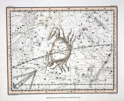 Die Sternbilder (Tafel XVI) Krebs, aus 